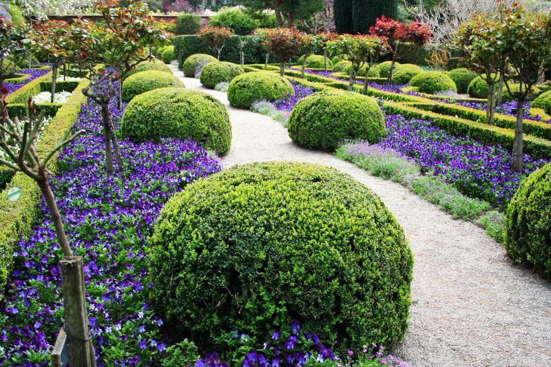 Landscape Shrub Installation
