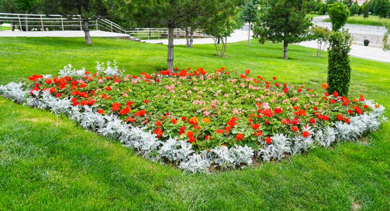 Landscape Shrub Installation